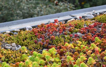 the cost of Aldersbrook green roof installation