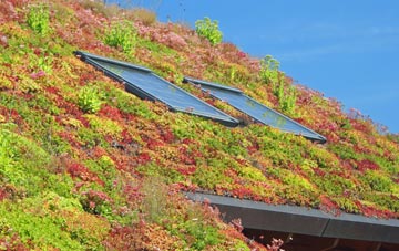 Aldersbrook living roof systems