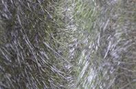 Aldersbrook fibreglass roof work